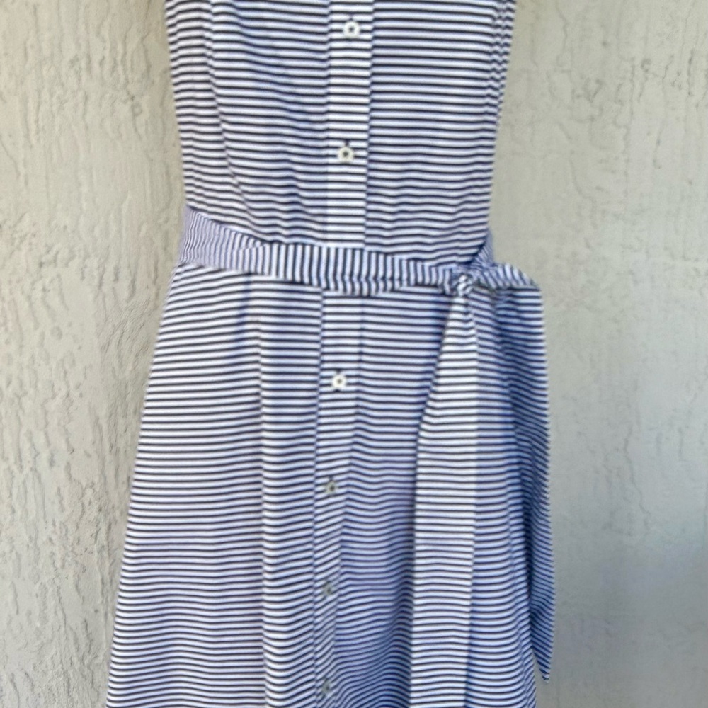 Banana Republic Navy and White Striped Dress